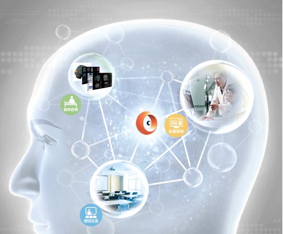 1676347639552140.jpg 大腦圖.jpg