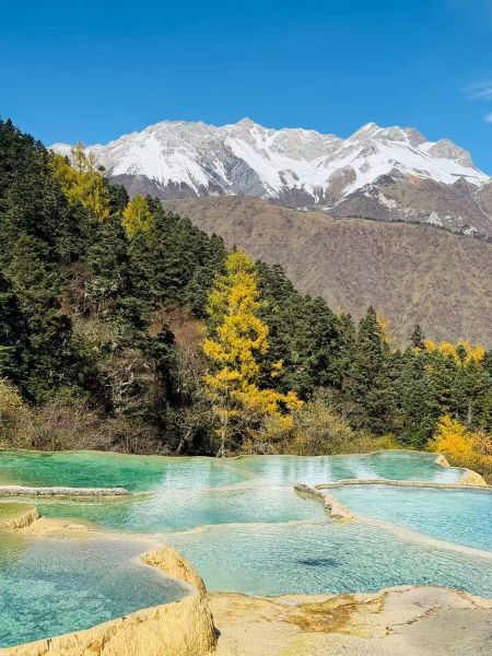 1761881936100956.jpg 黃龍.jpg