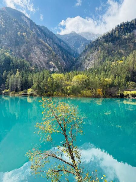 1761882048144629.jpg 九寨溝的水.jpg